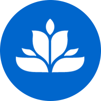 Salestools AI Inc